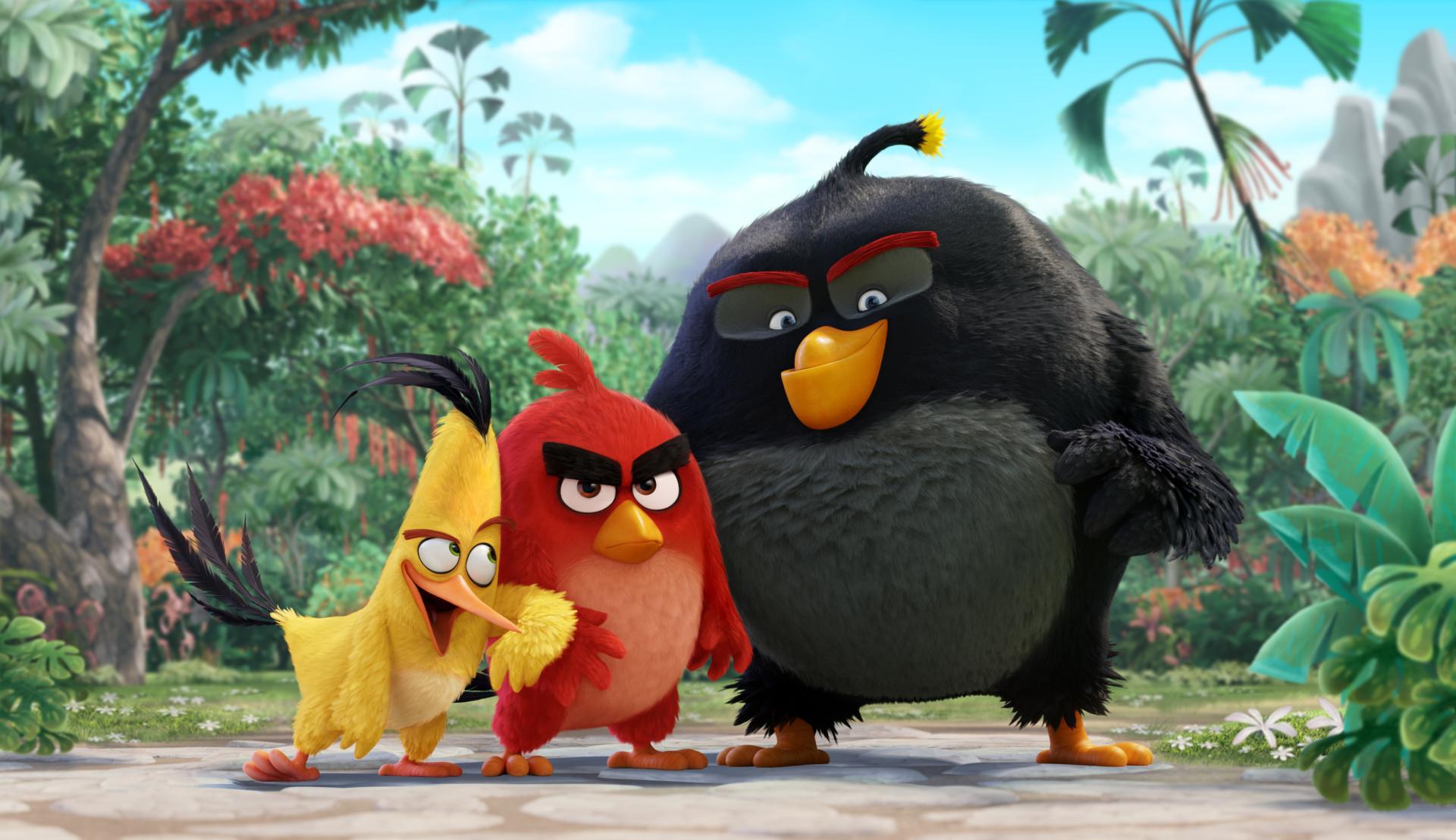 The Angry Birds Movie at 320 x 480 iPhone size wallpapers HD quality