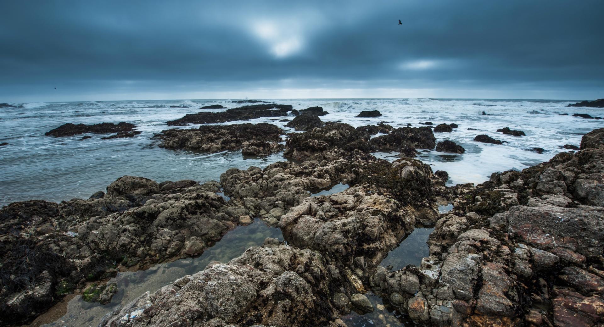 The Rolling Tempest  Pescadero State Beach at 640 x 1136 iPhone 5 size wallpapers HD quality