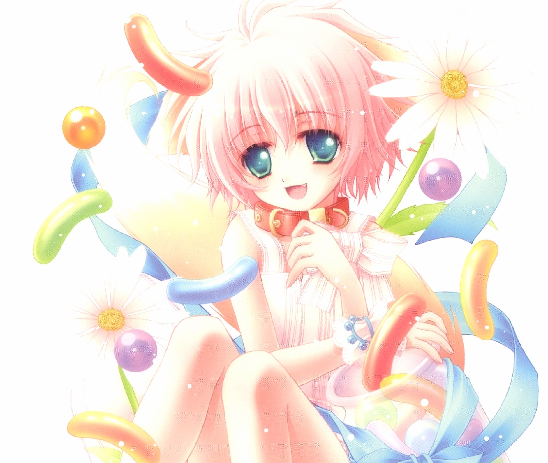 Wanko to Lily at 2048 x 2048 iPad size wallpapers HD quality