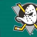 Anaheim Ducks image