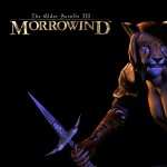 The Elder Scrolls III Morrowind new wallpapers