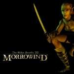 The Elder Scrolls III Morrowind free