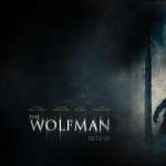 The Wolfman photo