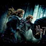 Harry Potter And The Deathly Hallows Part 2 hd wallpaper