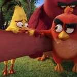 The Angry Birds Movie pics