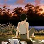 Grave Of The Fireflies high definition photo
