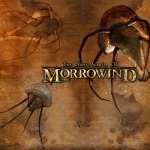 The Elder Scrolls III Morrowind images