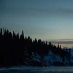 The Revenant wallpapers for android