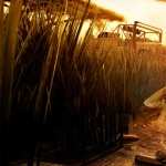 Far Cry 2 hd photos