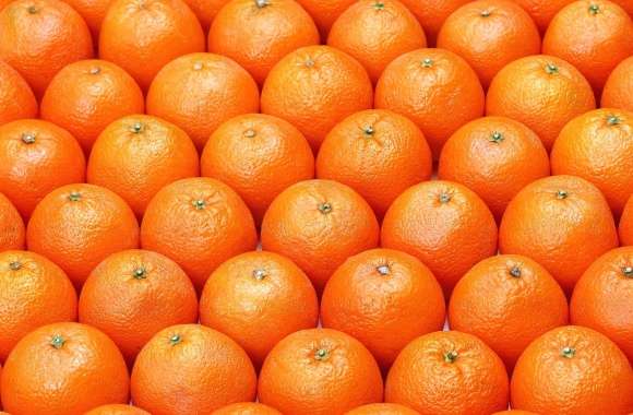 Aligned oranges wallpapers hd quality