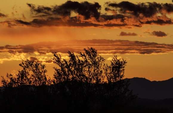 Arizona Sunset Panorama