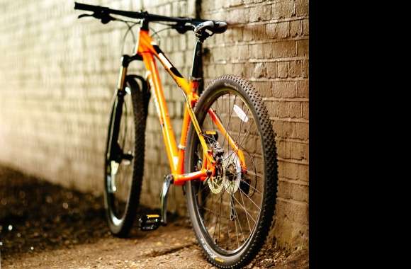 bicycle 11 HD wallpapers hd quality