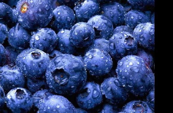 Blueberries wallpapers hd quality