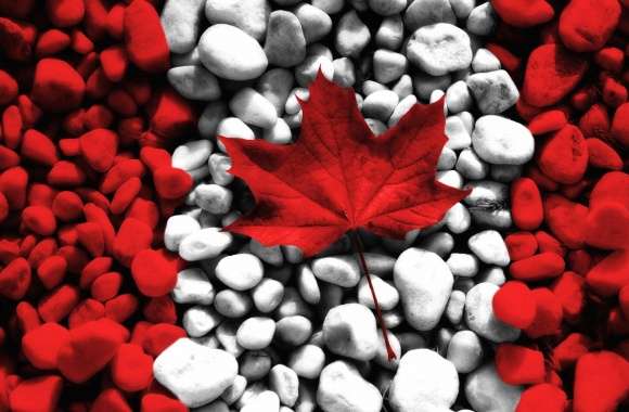 Canadian flag with stones and leave