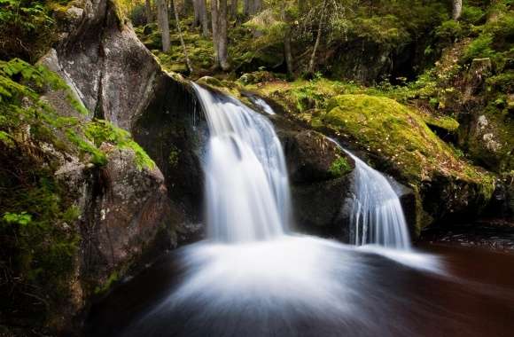 Forest Waterfall, Long Exposure