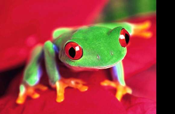 Frog green red eyes