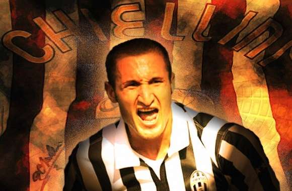 Giorgio chiellini wallpapers hd quality