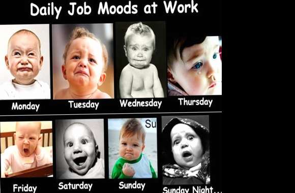 Job Moods wallpapers hd quality