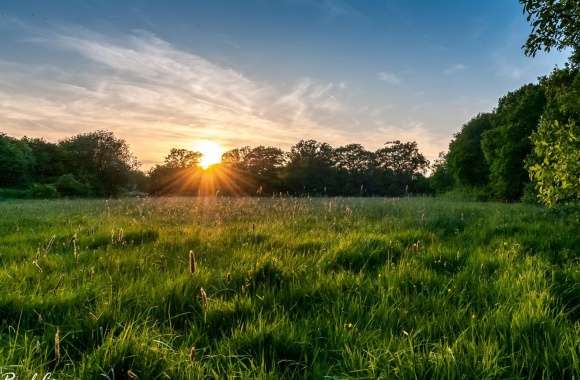 Meadow Sunset wallpapers hd quality