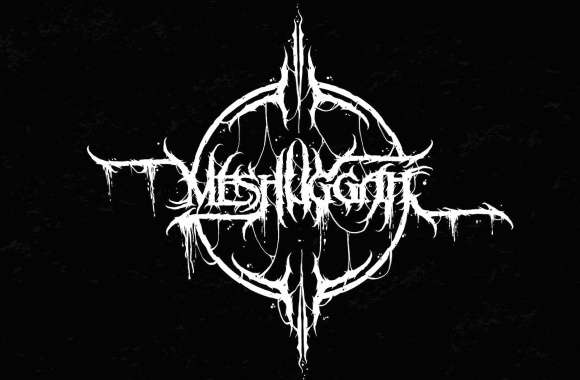 Meshuggah wallpapers hd quality