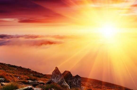 Morning Sun wallpapers hd quality