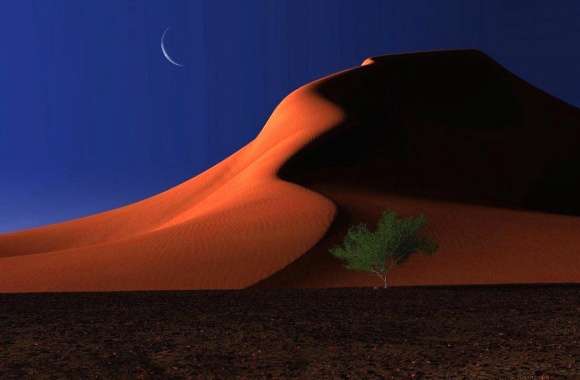 Night namib dune with moon