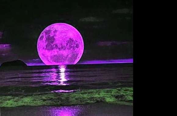 Purple Full Moon wallpapers hd quality