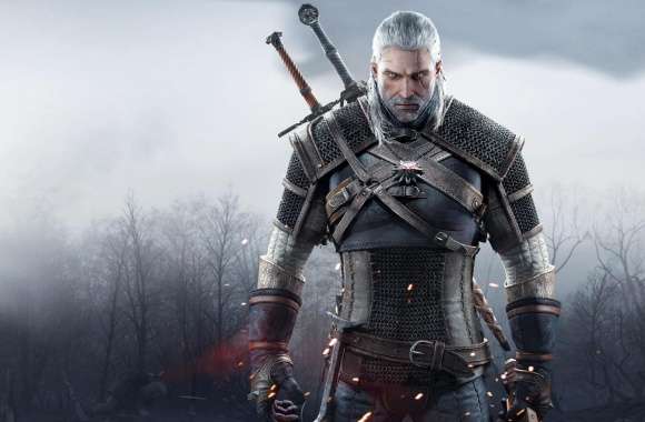 Witcher 3 Wild Hunt Geralt of Rivia 2015 wallpapers hd quality