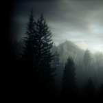 Alan Wake wallpapers for android