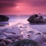 Purple Sunset high quality wallpapers