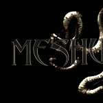 Meshuggah pic