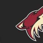 Arizona Coyotes high definition photo