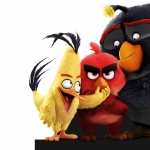 The Angry Birds Movie hd desktop