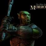 The Elder Scrolls III Morrowind image