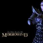 The Elder Scrolls III Morrowind wallpapers for iphone