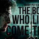 Harry Potter And The Deathly Hallows Part 2 wallpaper