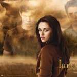 The Twilight Saga New Moon hd desktop