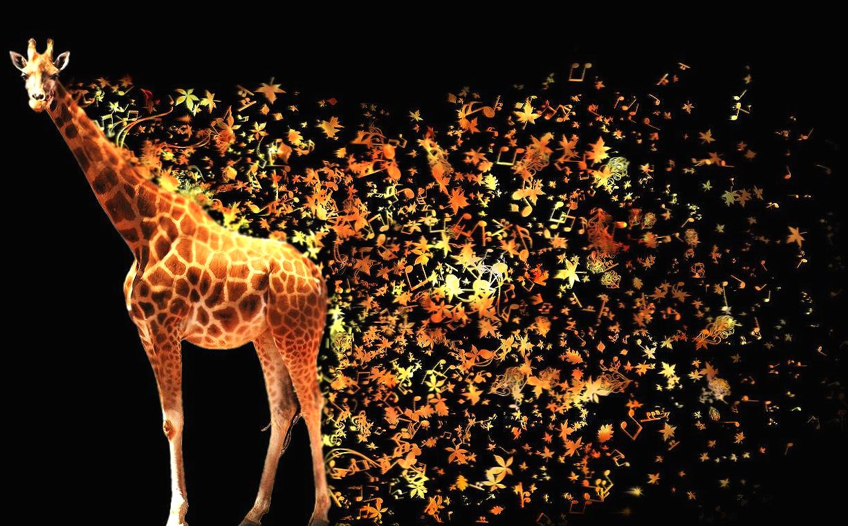 Abstract giraffe at 1600 x 1200 size wallpapers HD quality
