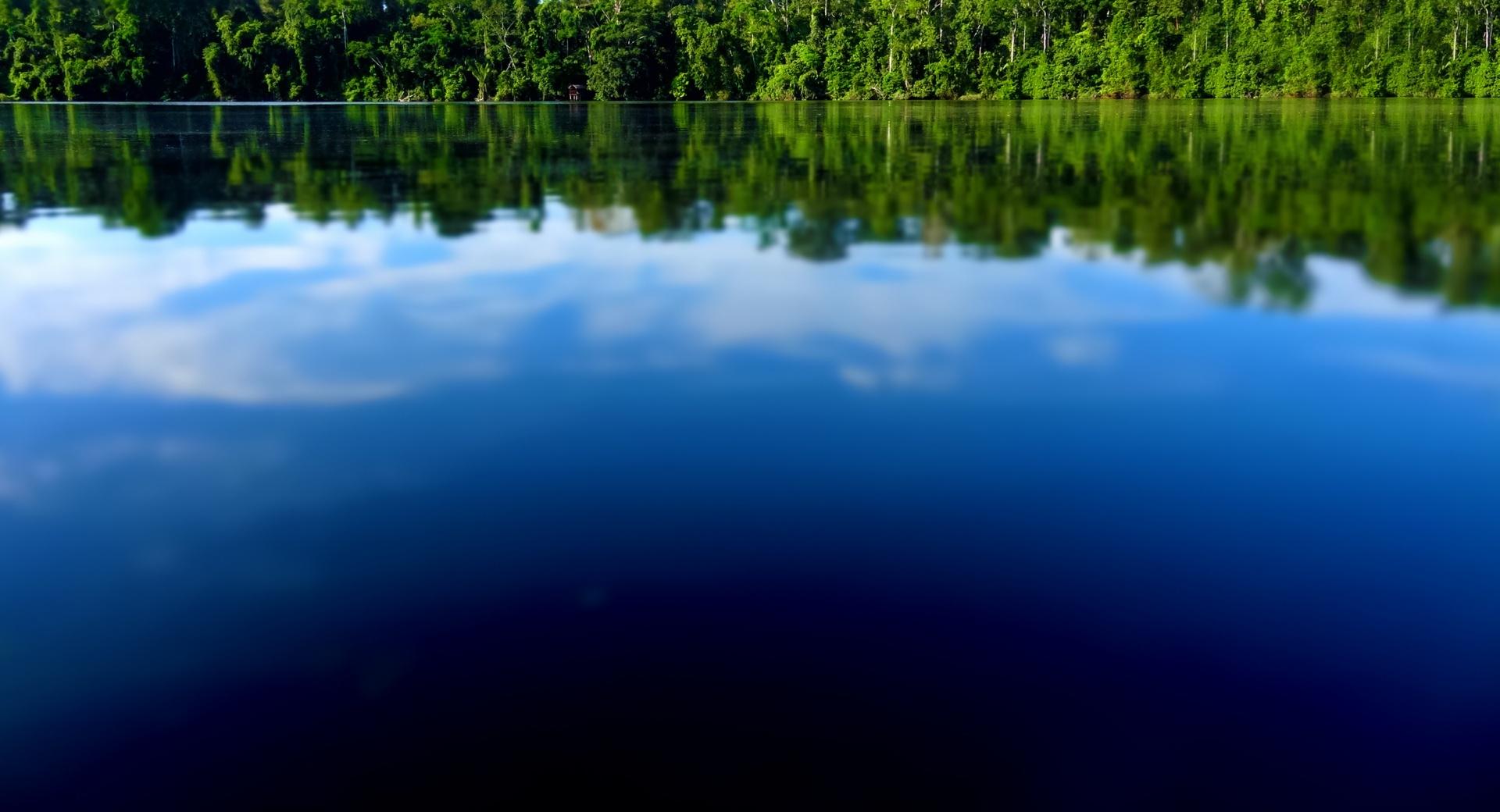 Amazon River Tilt Shift at 750 x 1334 iPhone 6 size wallpapers HD quality