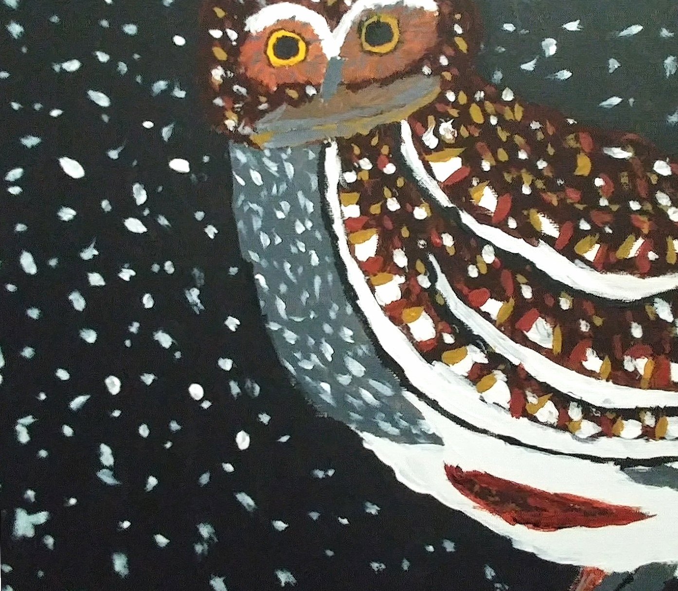 Arizona elf owl at 1024 x 768 size wallpapers HD quality