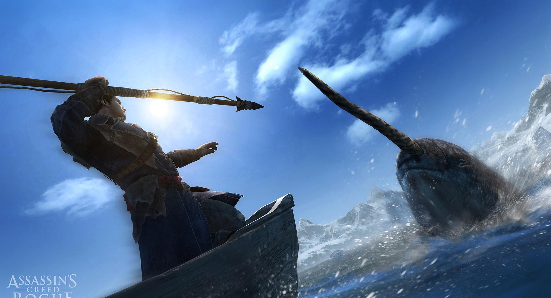 Assassins Creed Rogue Hunting Narwhal wallpapers HD quality