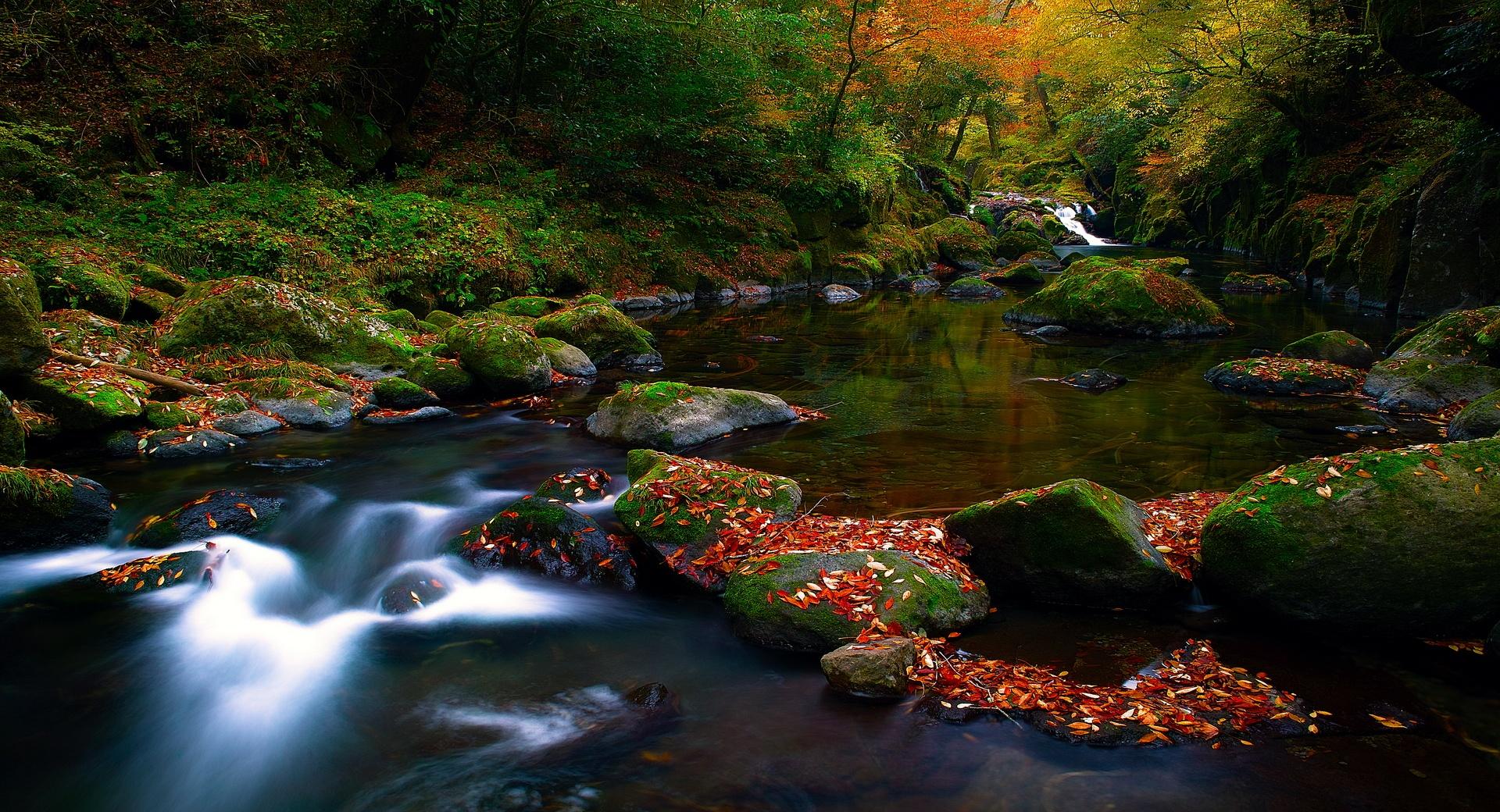 Autumn Forest River at 2048 x 2048 iPad size wallpapers HD quality