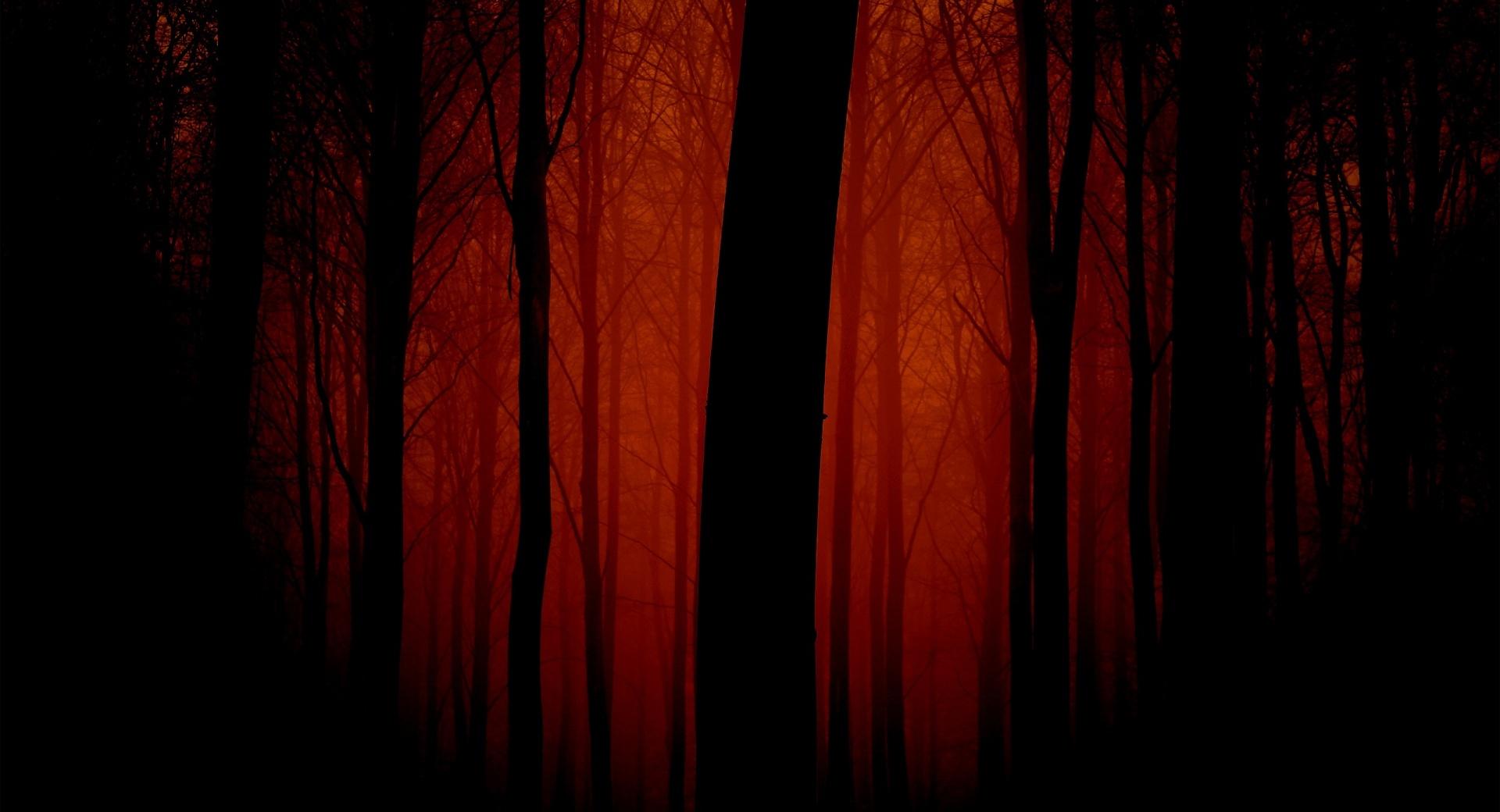 Bloody Forest at 320 x 480 iPhone size wallpapers HD quality