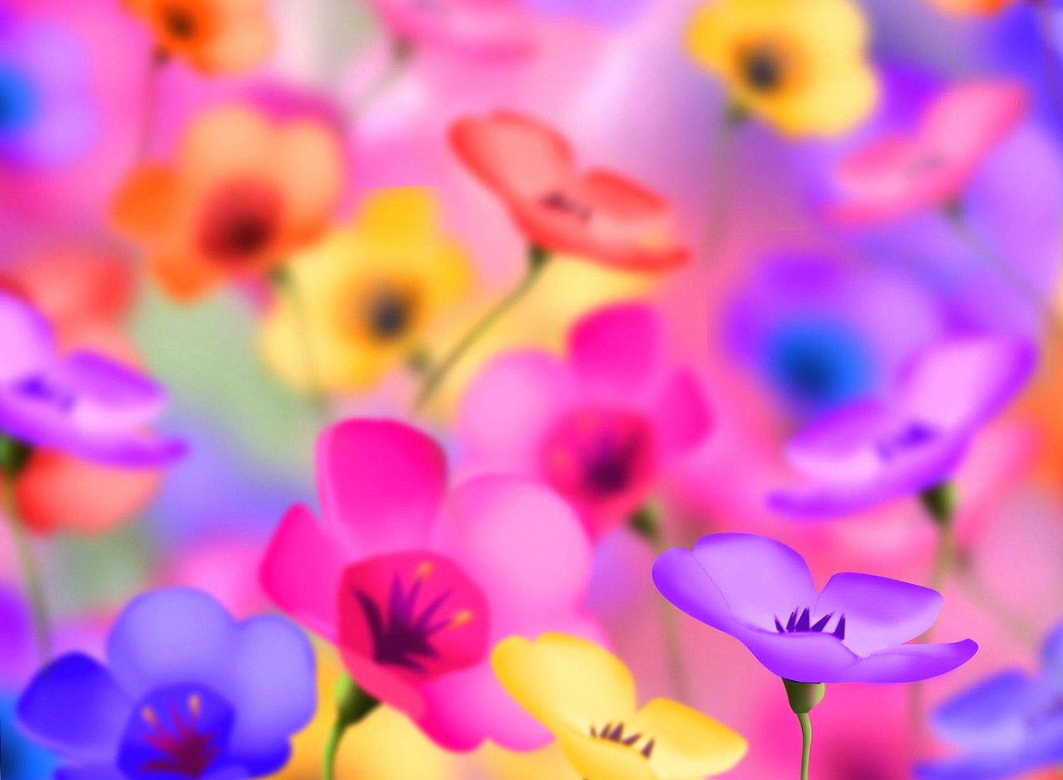Colorfull flowers wallpapers HD quality
