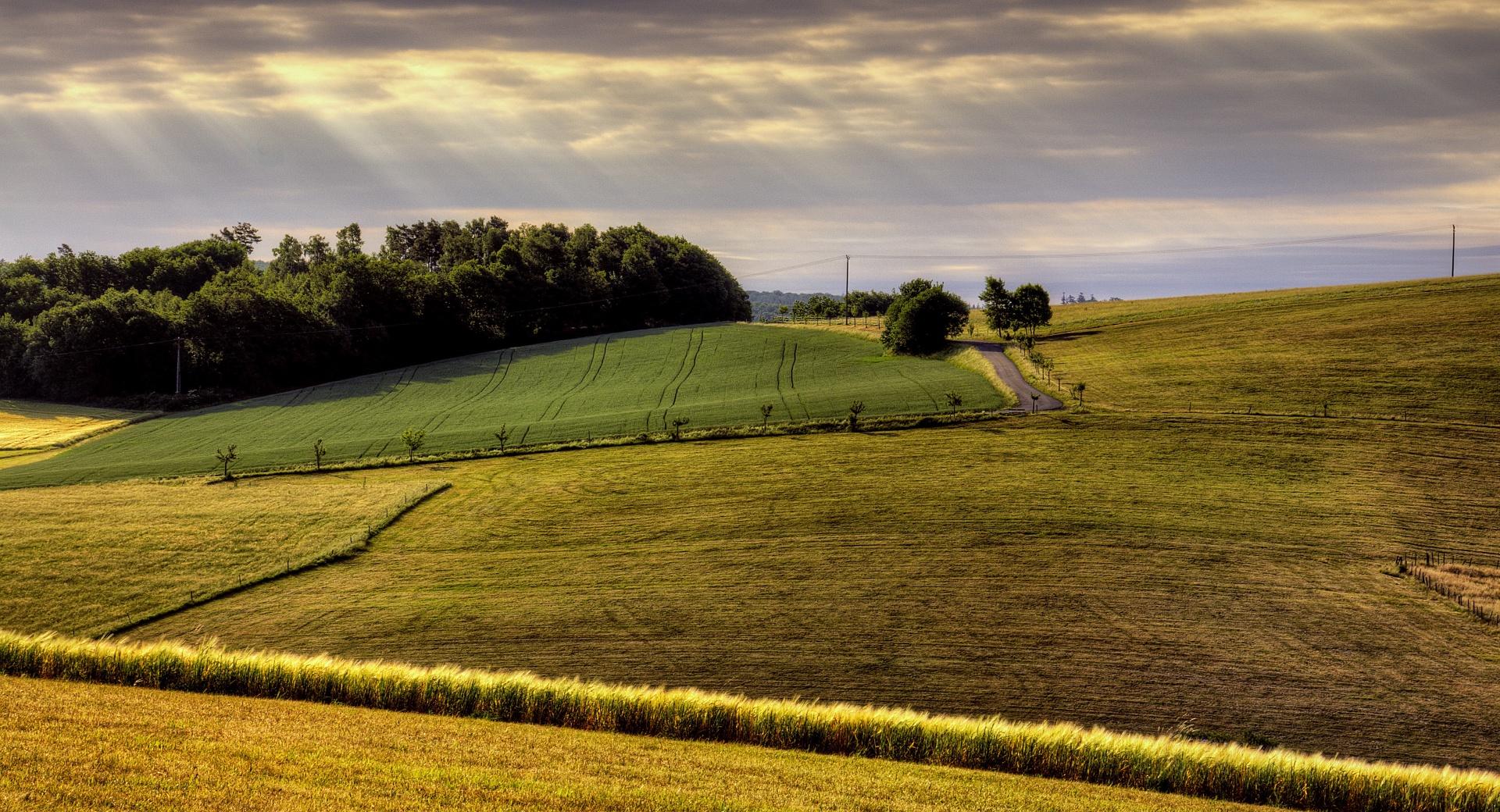 Countryside Field at 750 x 1334 iPhone 6 size wallpapers HD quality