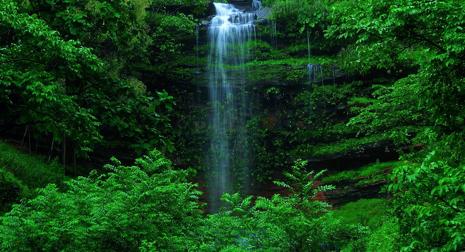Cute Baby Waterfall at 750 x 1334 iPhone 6 size wallpapers HD quality