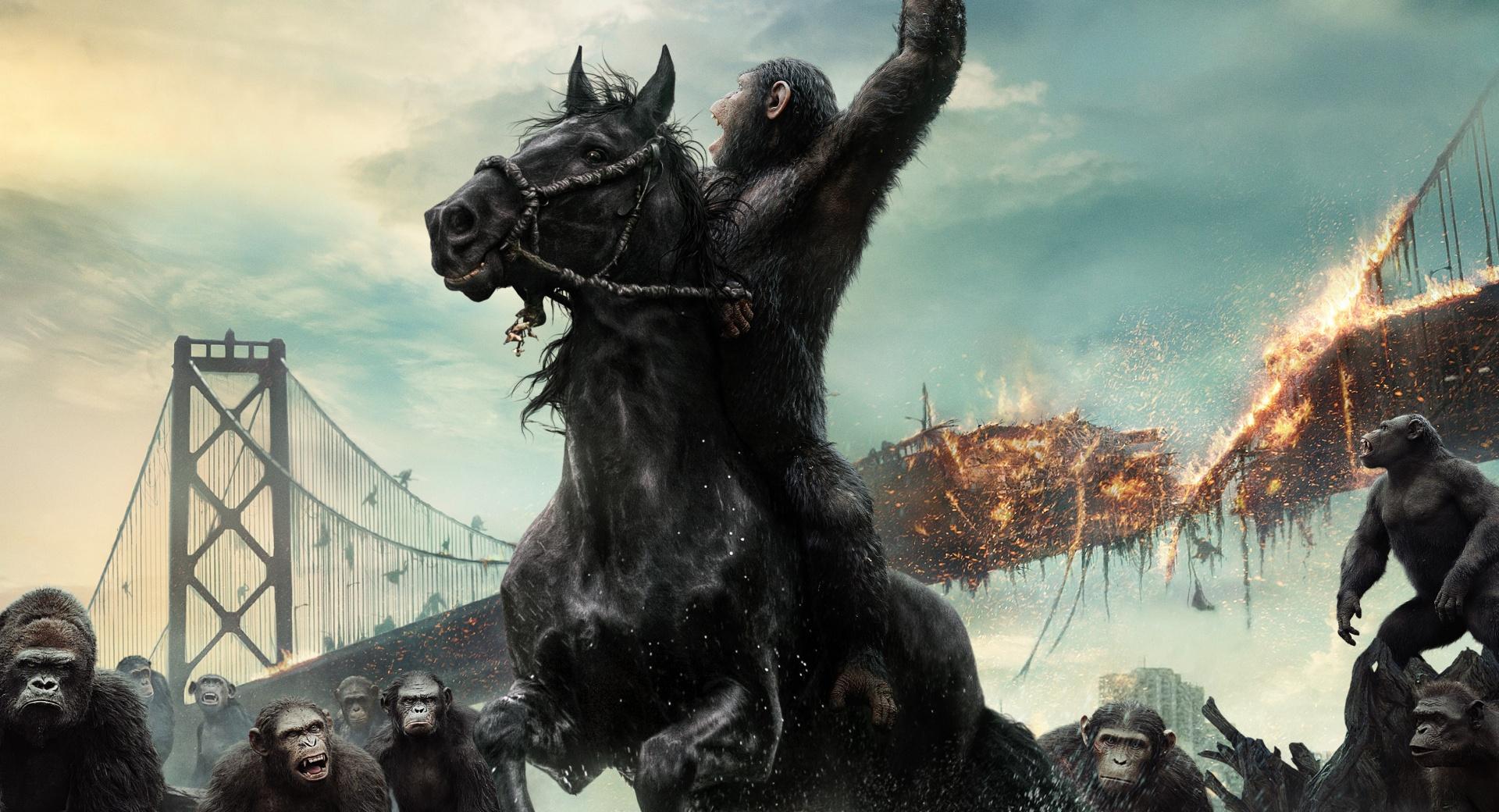 Dawn of the Planet of the Apes 2014 Film at 2048 x 2048 iPad size wallpapers HD quality