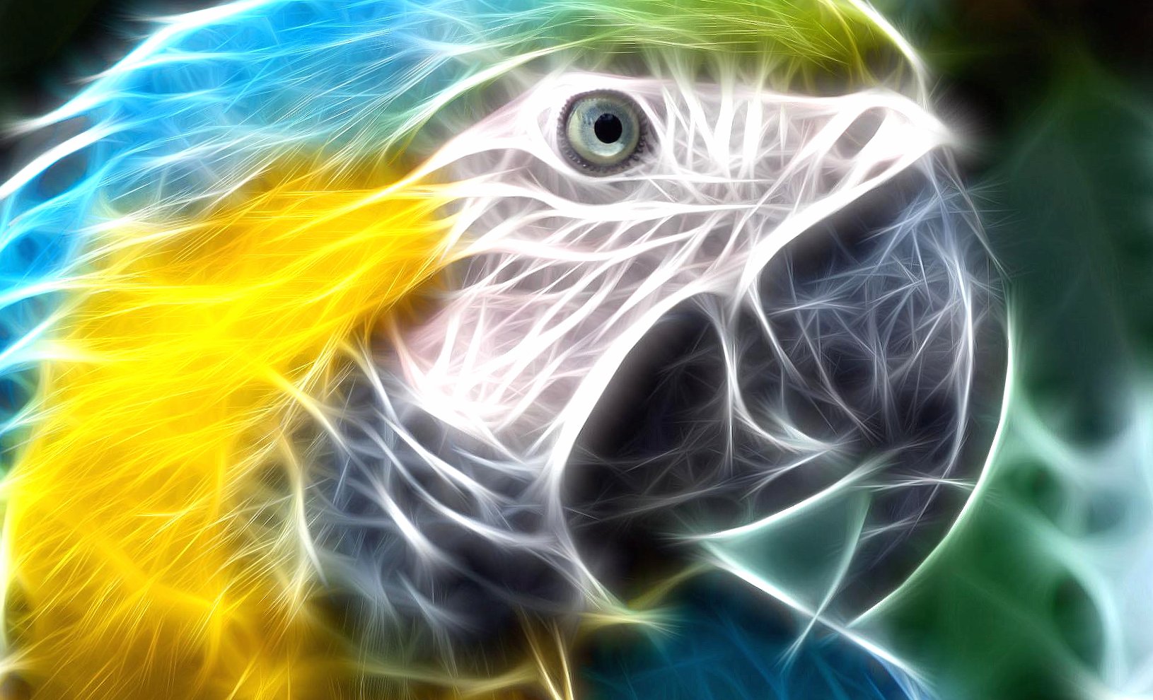 Digital parrot at 1024 x 768 size wallpapers HD quality