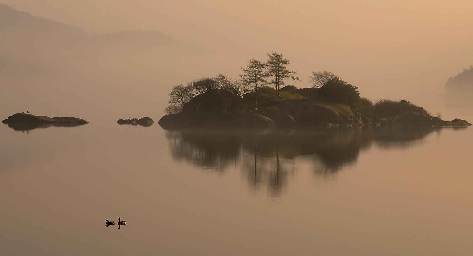 Ducks On Lake at 1280 x 960 size wallpapers HD quality