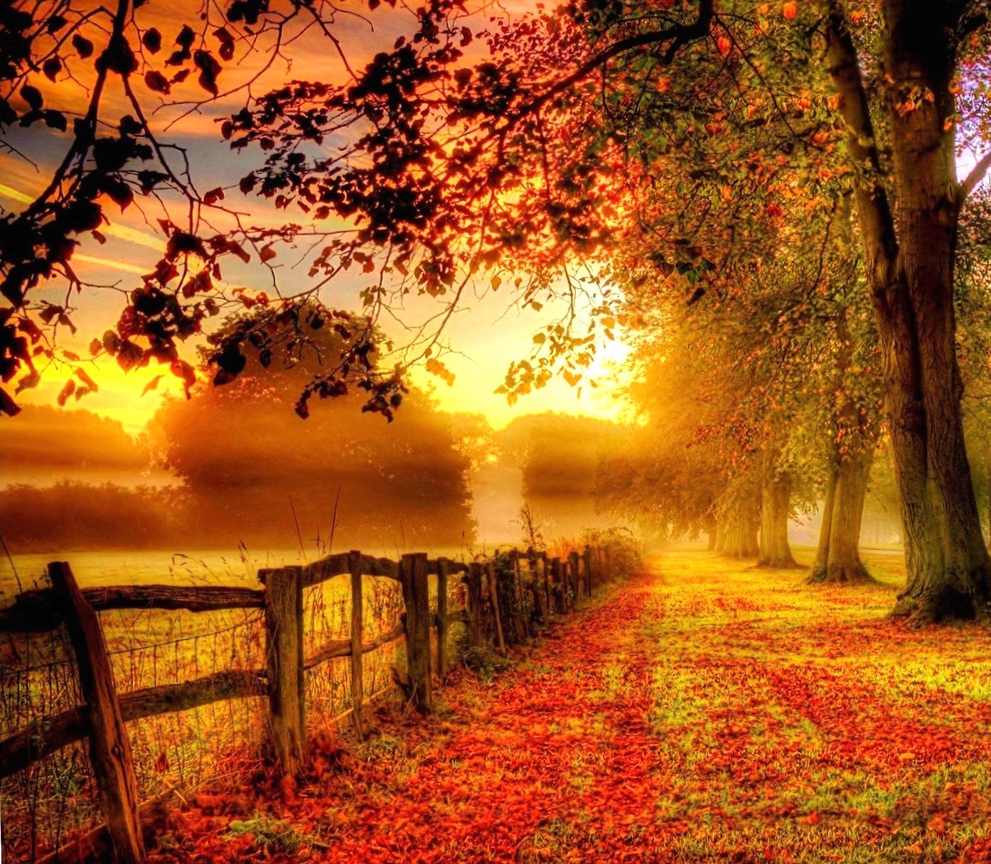 Fall Nature at 640 x 1136 iPhone 5 size wallpapers HD quality